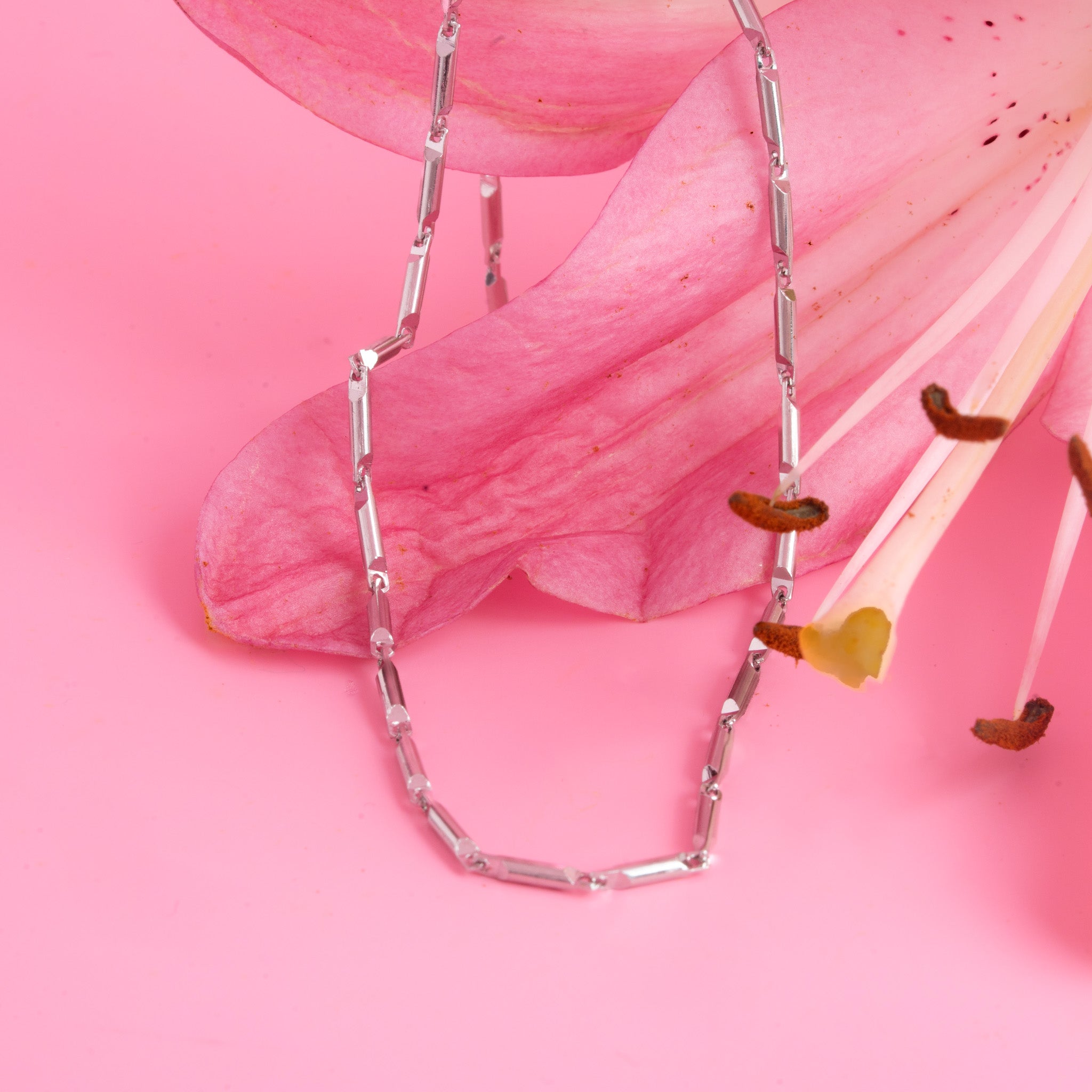 Minimalist silver necklace chain