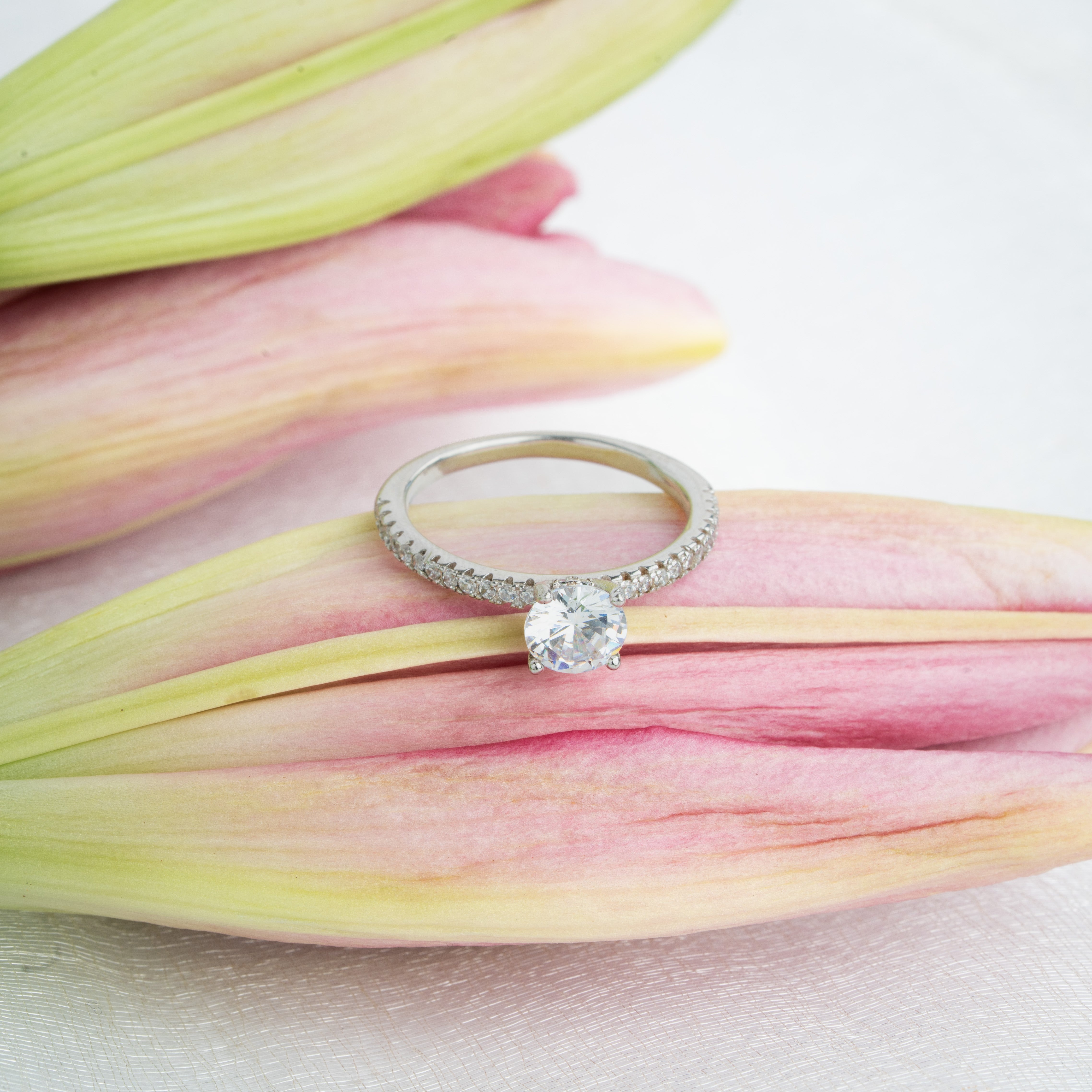 Sterling silver pavé band solitaire ring